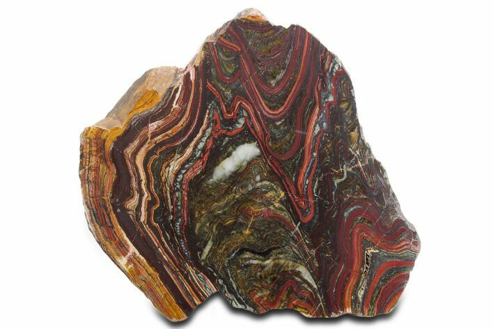 Tiger Iron Stromatolite Section - Billion Years #354886
